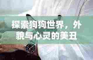 探索狗狗世界，外貌与心灵的美丑界限——全球最丑狗狗排行榜TOP未知
