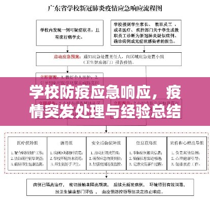 学校防疫应急响应,疫情突发处理与经验总结