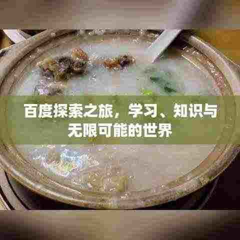 百度探索之旅,学习、知识与无限可能的世界