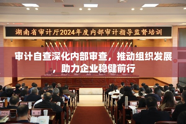 审计自查深化内部审查,推动组织发展,助力企业稳健前行