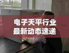电子天平行业最新动态速递,新闻头条全解析