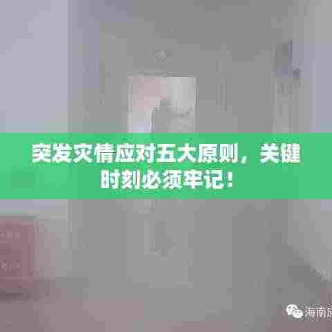 突发灾情应对五大原则,关键时刻必须牢记!