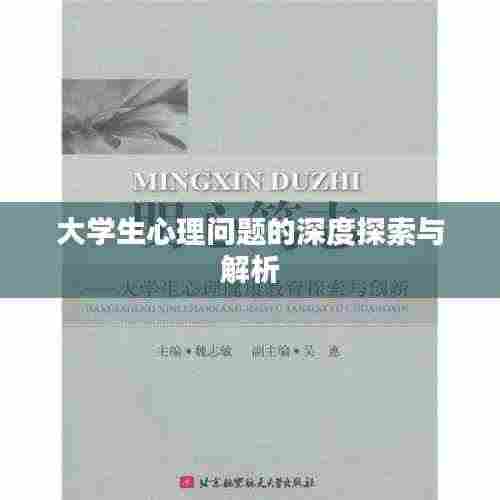 大学生心理问题的深度探索与解析