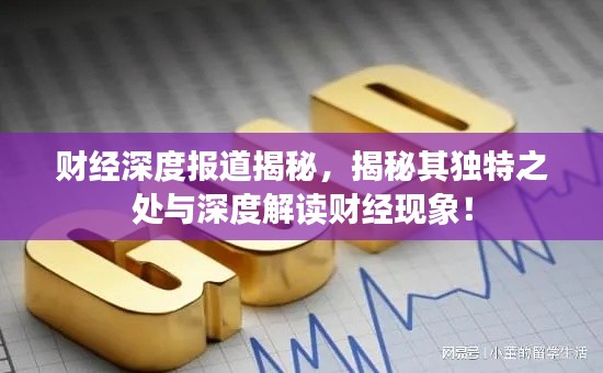 财经深度报道揭秘,揭秘其独特之处与深度解读财经现象!