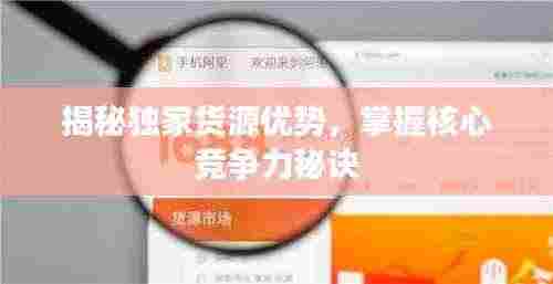 揭秘独家货源优势,掌握核心竞争力秘诀