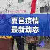 夏邑疫情最新动态更新