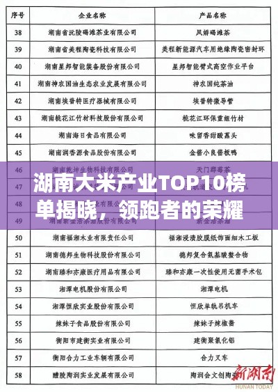 湖南大米产业TOP10榜单揭晓,领跑者的荣耀