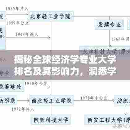 揭秘全球经济学专业大学排名及其影响力，洞悉学术权威与就业前景！