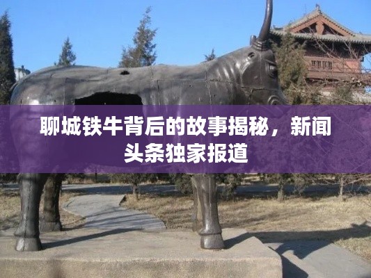 聊城铁牛背后的故事揭秘，新闻头条独家报道