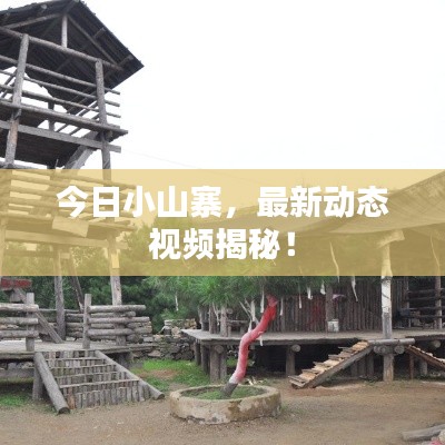 今日小山寨，最新动态视频揭秘！