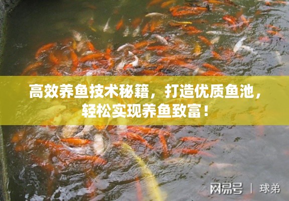 天各一方 第3页