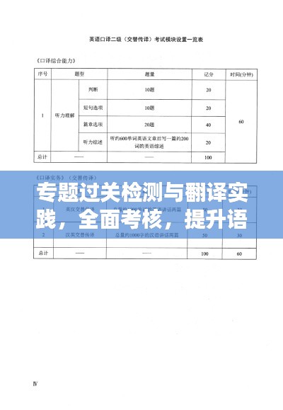 专题过关检测与翻译实践，全面考核，提升语言应用能力
