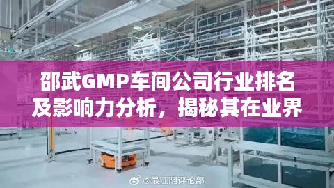 邵武GMP车间公司行业排名及影响力分析,揭秘其在业界的地位与优势