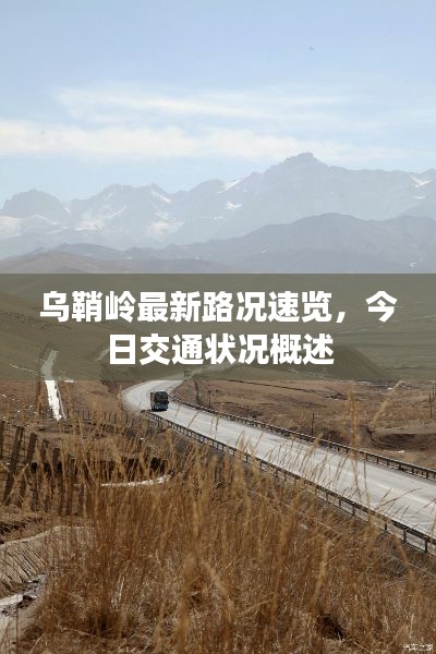 乌鞘岭最新路况速览,今日交通状况概述