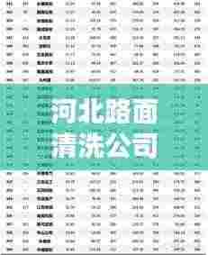 河北路面清洗公司权威排名榜单揭晓！