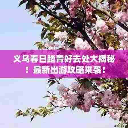 义乌春日踏青好去处大揭秘!最新出游攻略来袭!