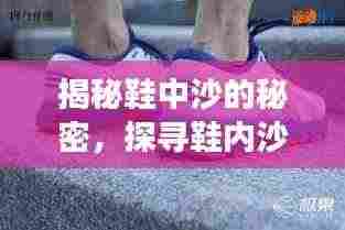 揭秘鞋中沙的秘密,探寻鞋内沙粒的奥秘之旅