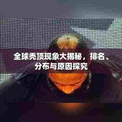 全球秃顶现象大揭秘,排名、分布与原因探究
