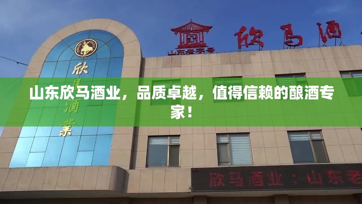 山东欣马酒业,品质卓越,值得信赖的酿酒专家!