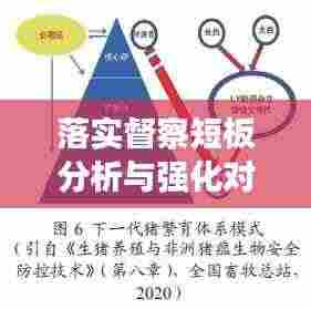 落实督察短板分析与强化对策探讨