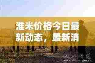 淮米价格今日最新动态,最新消息一览表