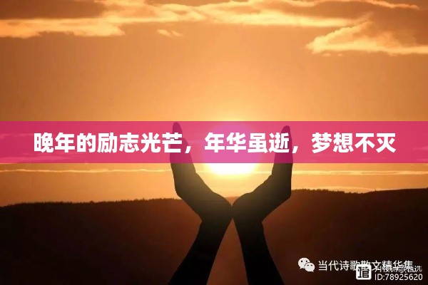 晚年的励志光芒,年华虽逝,梦想不灭