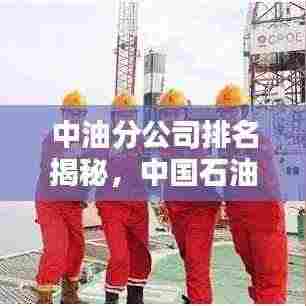 中油分公司排名揭秘，中国石油行业的巨头地位与影响力分析