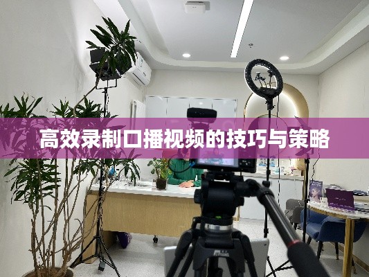 高效录制口播视频的技巧与策略