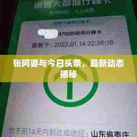 张阿婆与今日头条,最新动态揭秘