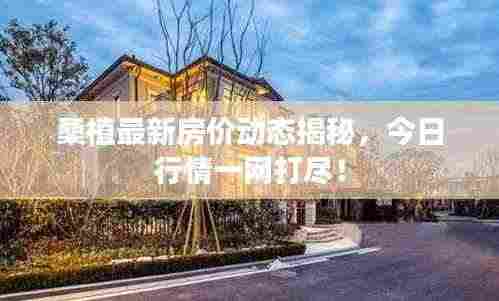 桑植最新房价动态揭秘，今日行情一网打尽！