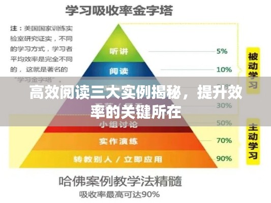 高效阅读三大实例揭秘,提升效率的关键所在