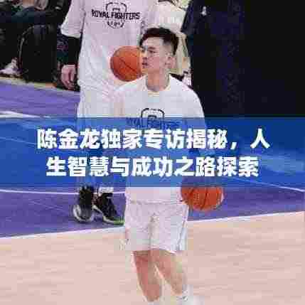 陈金龙独家专访揭秘,人生智慧与成功之路探索