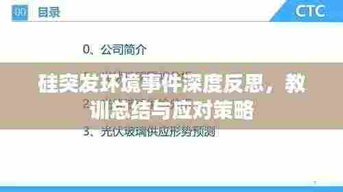 硅突发环境事件深度反思，教训总结与应对策略