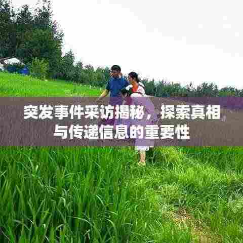 突发事件采访揭秘,探索真相与传递信息的重要性