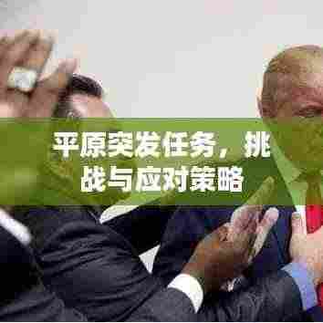 平原突发任务,挑战与应对策略