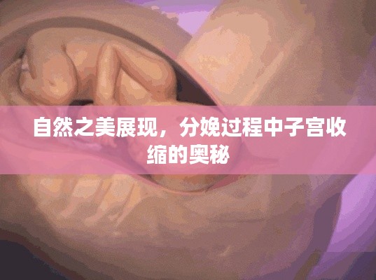 自然之美展现，分娩过程中子宫收缩的奥秘