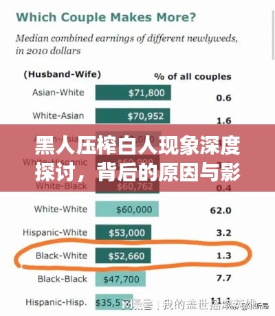 黑人压榨白人现象深度探讨,背后的原因与影响分析