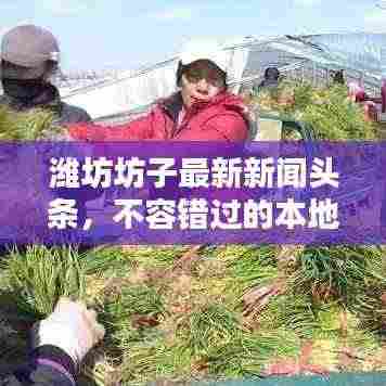 潍坊坊子最新新闻头条,不容错过的本地资讯